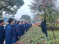 大树刷白防虫害　月季过冬巧剪裁——张家港高级中学组织学生开展劳动教育活动