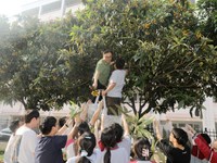 母校的枇杷特别甜——张家港高级中学组织高三师生采摘枇杷